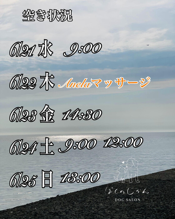 画像834