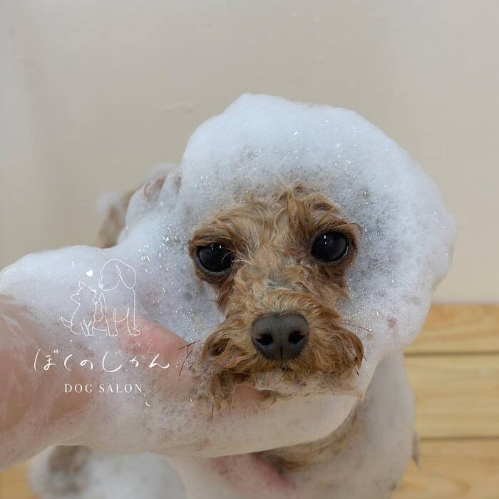 画像844
