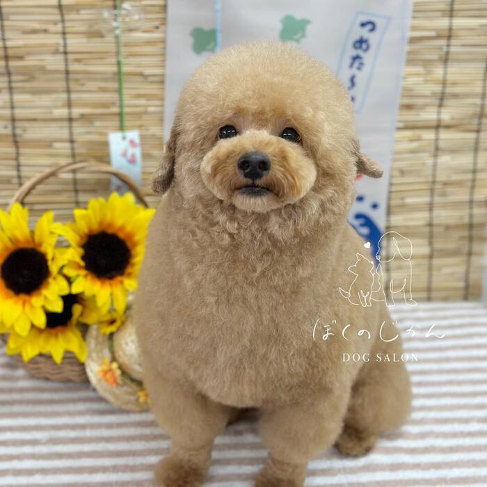 画像859