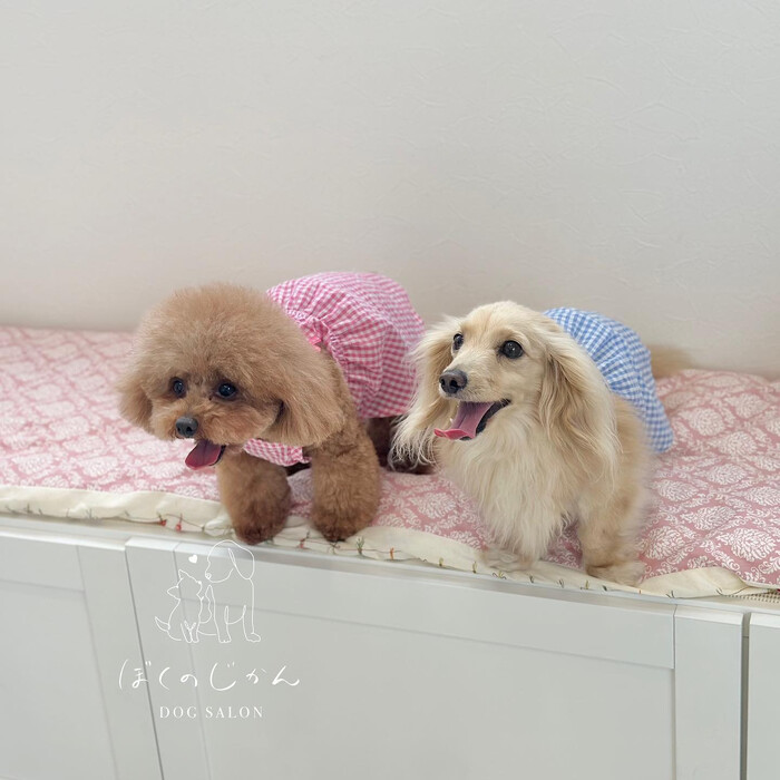 画像904