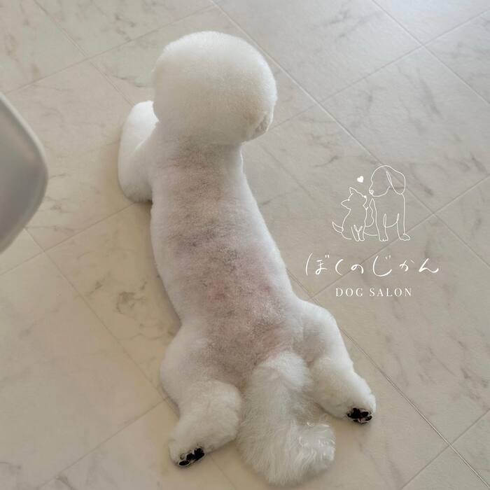 画像936