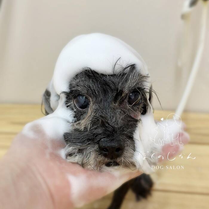 画像947