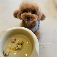 画像965